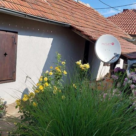 Apartman Nebojsa ルーディック エクステリア 写真