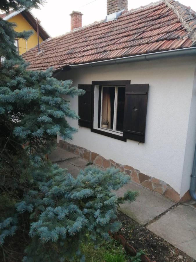 Apartman Nebojsa ルーディック エクステリア 写真