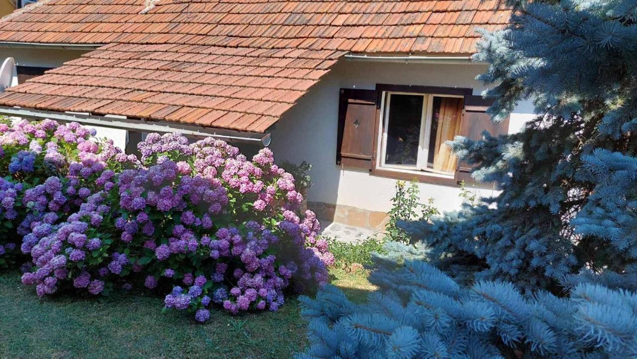 Apartman Nebojsa ルーディック エクステリア 写真