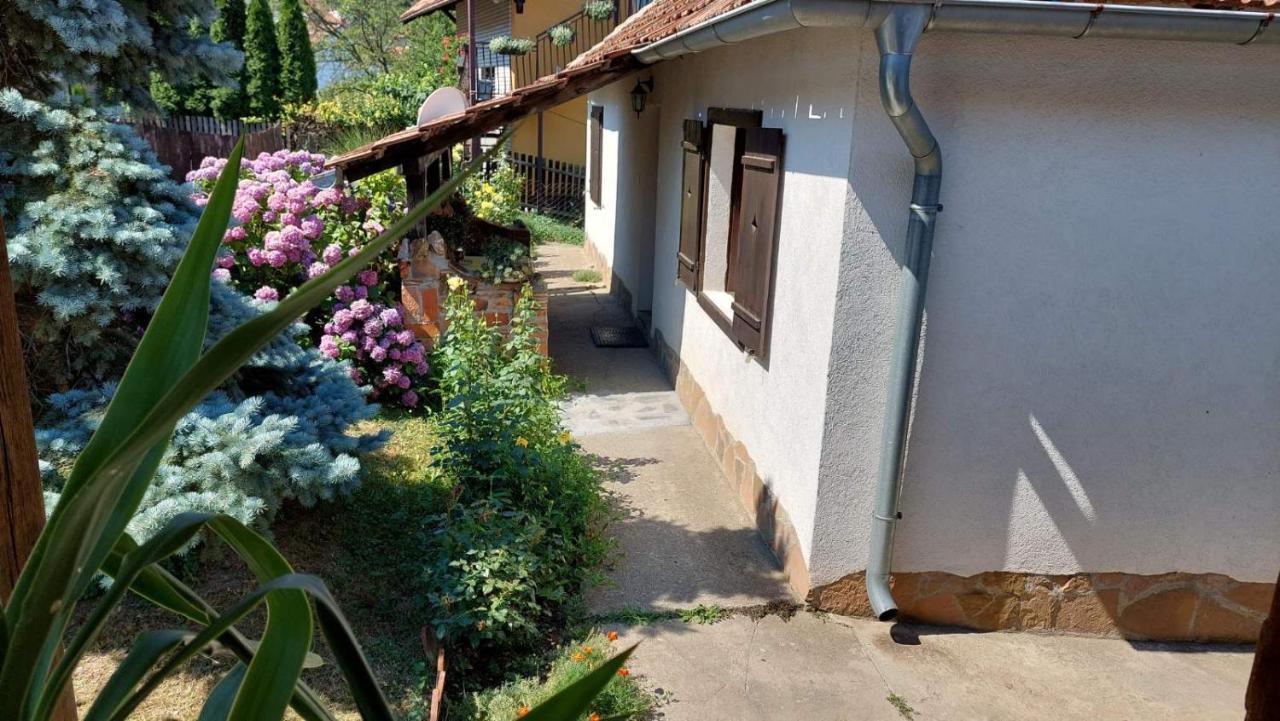 Apartman Nebojsa ルーディック エクステリア 写真