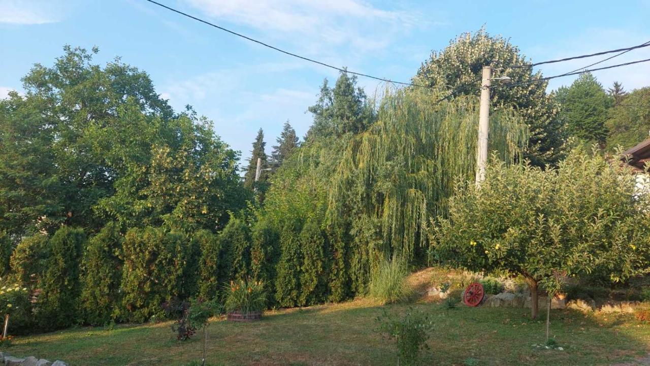 Apartman Nebojsa ルーディック エクステリア 写真