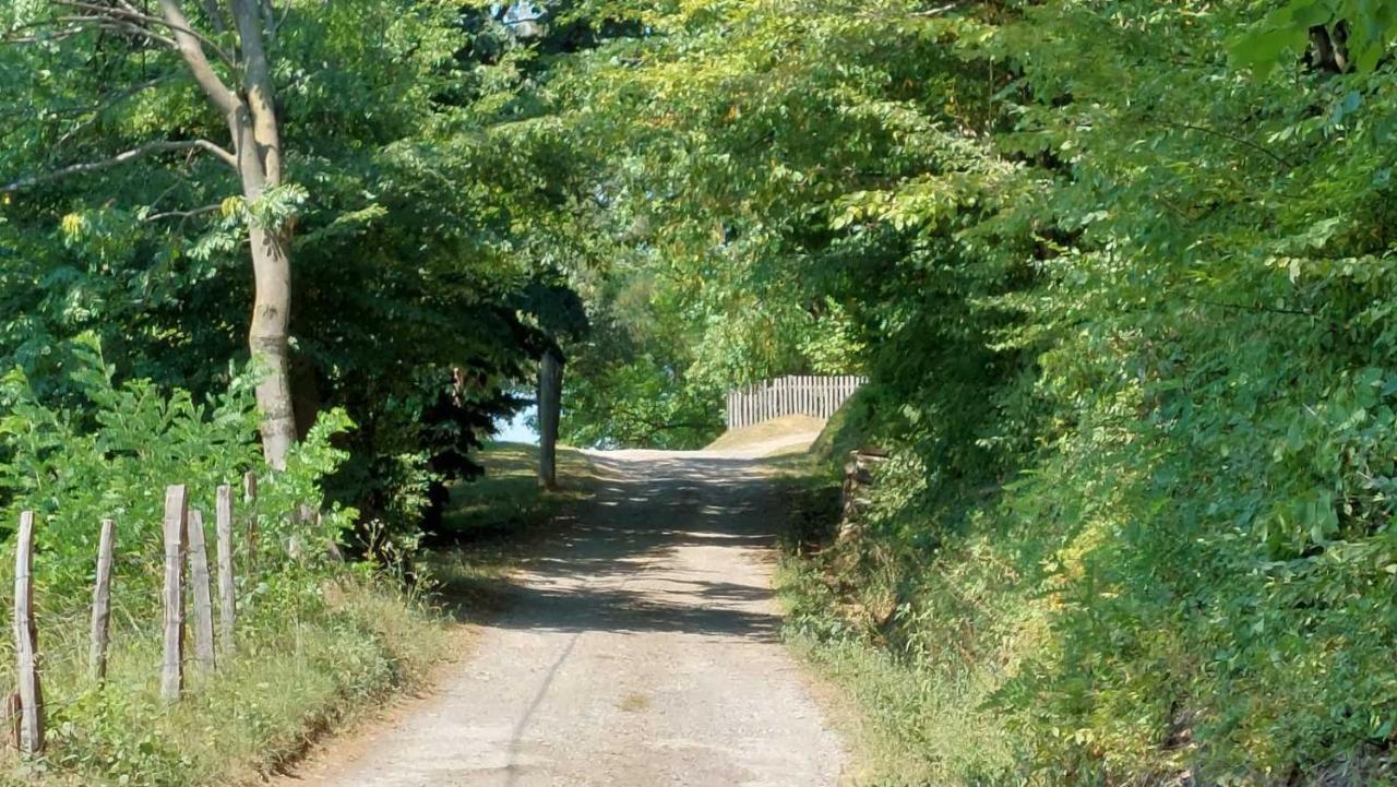 Apartman Nebojsa ルーディック エクステリア 写真